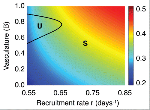 Figure 5. Frequency dependence on the immune recruitment rate r and vascularization B. Imaginary part of the eigenvalues of the Jacobian estimated at the spiral point L with respect to the immune recruitment rate r and the functional tumor-associated vasculature B. The labels S and U represent the regimes where the spiral point L is stable and unstable, respectively.
