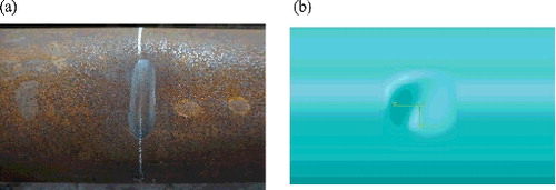 Figure 6. Dent damage from both test and numerical models: (a) artificial dent damage on specimen; (b) dent damage on numerical model. (This figure is available in colour online.)