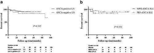 Figure 3. Kaplan–Meier survival curves comparing survival between the (a) antineutrophil cytoplasmic antibody (ANCA)-positive lupus nephritis (LN) group (25 patients) and the ANCA-negative LN group (163 patients) and (b) myeloperoxidase ANCA (16 patients) and proteinase 3-ANCA (30 patients) groups among patients with systemic lupus erythematosus.Note: Survival refers to both kidney and patient survival.