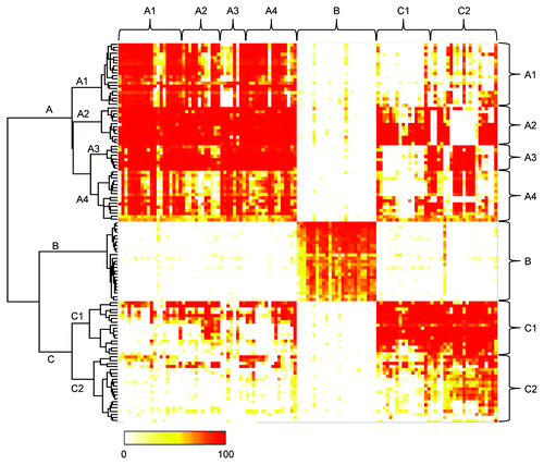 Figure 3. Epitope binning study of anti-HB-EGF mAbs. The competitive binding of all mAb pairs to sHB-EGF was measured in the FMAT assay. Binding of biotinylated anti-HB-EGF mAb to sHB-EGF was detected in the presence of a label-free anti-HB-EGF mAb. Horizontal and vertical axes indicate unlabeled and biotinylated mAbs, respectively. Data were analyzed by Ward’s method with Euclidean distance. Dendrogram on the left axis represents the similarity of each mAb in the competitive binding pattern to sHB-EGF. The color scale from 0 to 100 shows the competitive binding of the 2 mAbs.