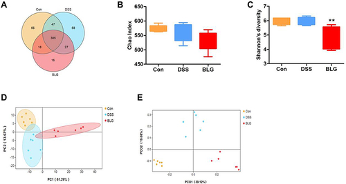 Figure 3 BLG changed gut microbiota diversity of DSS-induced colitis mice. (A) Venn diagram for OTUs, (B) Chao1 index, (C) Shannon’s richness index, (D) score plot for principal component analysis (PCA) of OTUs, (E) score plot for principal coordinate analysis (PCoA) of OTUs. Data are expressed as the mean ± SEM (n = 6). **p < 0.01 vs DSS group.
