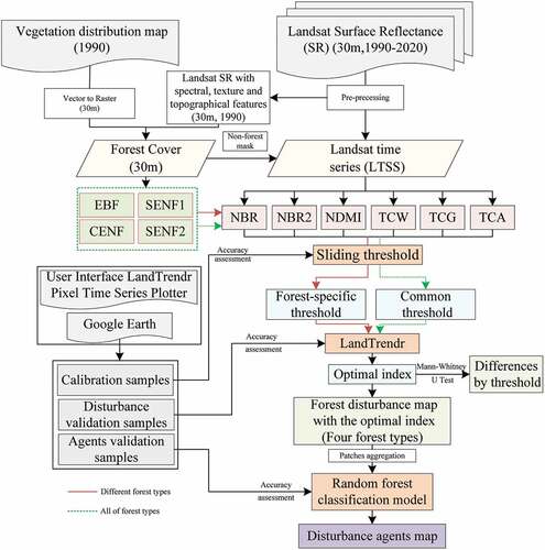 Figure 2. Flowchart of the data processing and analysis procedures followed in this study. EBF, CENF, SENF1 and SENF2 are abbreviations representing evergreen broad-leaved forests, cold-temperate evergreen needle-leaved forests, and subtropical evergreen needle-leaved forests dominated by Yunnan pine and by Simao pine, respectively. NBR, NBR2, NDMI, TCA, TCW and TCG denote the normalized burn ratio, normalized burn ratio 2, normalized difference moisture index, tasseled cap angle, tasseled cap wetness and tasseled cap greenness, respectively. The User Interface (UI) LandTrendr Pixel Time Series Plotter was provided by the Oregon State University eMapR Laboratory and Google Earth Engine (GEE) website: https://emaprlab.users.earthengine.app/view/lt-gee-pixel-time-series.