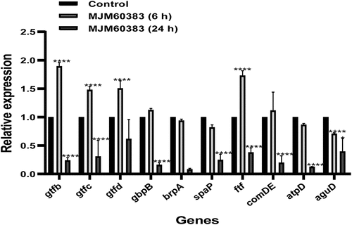 Figure 5. Effect of l. pentosus MJM60383 supernatant on biofilm-associated gene expression. The data are expressed as the means and SDs of three biological experiments performed in triplicate. Statistically significant differences between the presence of the supernatant-treated group and control group as analyzed using the one-way ANOVA with Dunnett’s multiple comparison test. *p <0.05, ****p <0.0001.