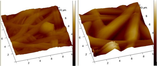 Figure 4. AFM images (a) NF7 and (b) NF13.