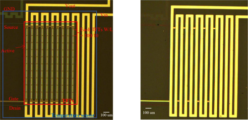 Figure 2. Optical microscopic images: (a) temperature sensor under IGZO TFT, (b) temperature sensor on IGZO TFT.