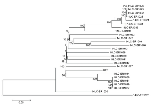 Figure 1 Phylogenetic relationships of S. pneumoniae isolates based on single-nucleotide polymorphisms from whole DNA sequences.