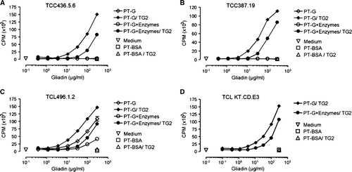 Figure 5.  The T cell proliferation as measured by 3H-thymidine incorporation is decreased after germinating wheat enzyme pretreatment of pepsin-trypsin-digested gliadin (PT-G). A: The dose-dependent T cell proliferation of TCC436.5.6 that recognizes the DQ2-αII-epitope found within the 33-mer. B: Proliferation of TCC387.19 that recognizes the DQ2-γVII-epitope. C: The proliferation of TCL496.1.2 that is reactive to the DQ2-γII-epitope but not the 33-mer. D: The proliferation of TCL KT.CD.E3 that is reactive to the 33-mer and the DQ2-γIV and DQ2-γVI-epitopes. Data are given as mean values±SEM (TG2 = transglutaminase 2; PT-BSA = pepsin-trypsin-digested bovine serum albumin; CPM = counts per minute).