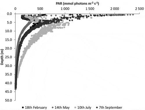 Fig. 5. Vertical profiles of PAR obtained during the four sampling surveys.