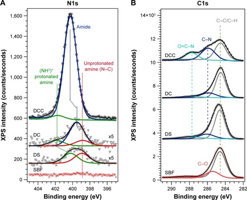 Figure 15 XPS spectra recorded in (A) N1s and (B) C1s spectral regions for BG-O sample tested in SBF, DS, DC, and DCC.Abbreviations: XPS, X-ray photoelectron spectroscopy; BG-O, bioactive glass (simple coating); SBF, simulated body fluid; DS, simple cell-culturing medium; DC, DMEM supplemented with 10% FBS; DCC, DC in homeostatic atmosphere; DMEM, Dulbecco’s Modified Eagle’s Medium; FBS, fetal bovine serum.