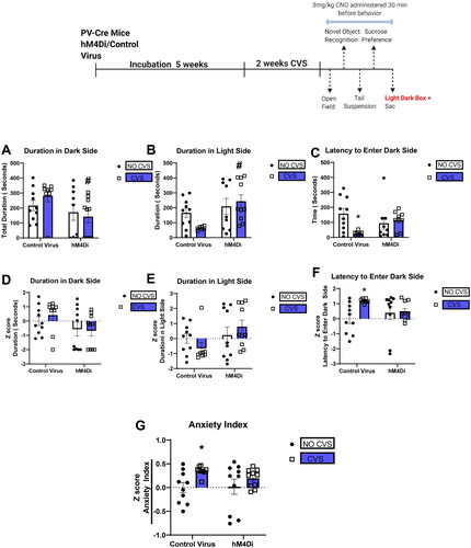 Figure 6. PV IN inhibition attenuates CVS-induced anxiety-like behavior in the light-dark box.