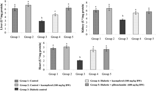 Figure 9. Effect of kaempferol on the activity of glutathione-S-transferase (GST) in the tissues of STZ-diabetic rats. Values are given as means ± SD from six rats in each group. Values not sharing a common superscript differ significantly at P < 0.05. DMRT. U* = µg of CDNB conjugate formed/minute.