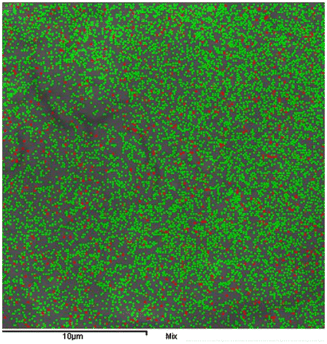 Figure 4. EDX mapping of M-Fe5-Si. Fe atoms were shown in red and Mg in green colors.