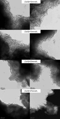 3 TEM micrographs of C-S-H samples produced by hydration of C3S at controlled lime concentration stopping hydration at acceleration period (left) and at deceleration period (right). Micrographs show foil-like C-S-H for [CaO] = 12 and 17 mmol L−1, mixture of foils and fibres for [CaO] = 22 mmol L−1 and fibrillar C-S-H for [CaO] = 27 mmol L−1