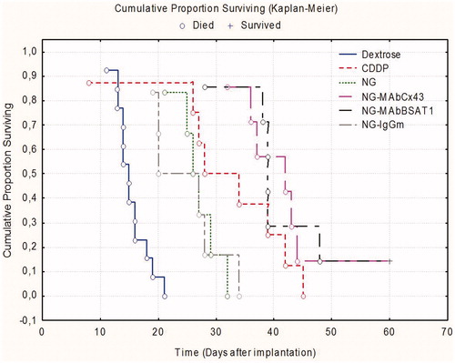 Figure 5. Survival curves of the rats after treatment with cisplatin encapsulated in nanocontainers. The groups of animals received the following preparations: DEXTROSE (the control group), dextrose (placebo); CDDP, free cisplatin; NG/CDDP, non-targeted nanogels; MAbCx43-NG/CDDP, nanogels with mAbs against Cx43; MAbBSAT1-NG/CDDP, nanogels with mAbs against BSAT1; IgG-NG/CDDP, nanogels with non-specific IgG.