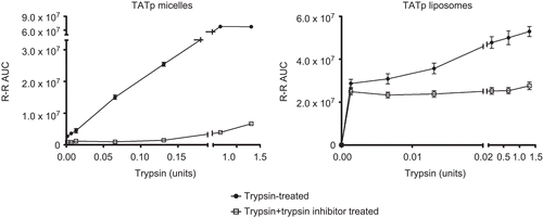 Figure 1.  HPLC TATp RR fragment analysis of enzymatic cleavage following incubation of TATp-modified micelles/liposomes with trypsin/trypsin inhibitor (0.1mg/ml and 1mg/ml respectively). Particles were incubated with enzymes for 10 min in PBS, pH 7.4, at 370C before HPLC analysis. (n=3)