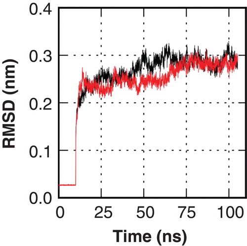 Figure 2. Root mean square deviation (RMSD) traces of two independent MD simulations of hAQP9 indicate structural stability of the model in the simulated time window. This Figure is reproduced in color in Molecular Membrane Biology online.