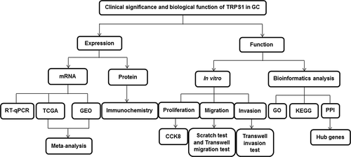 Figure 1. The flowchart of the present study