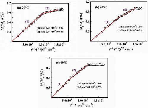 Figure 5. Fitted curves of immersion experiment at different temperatures