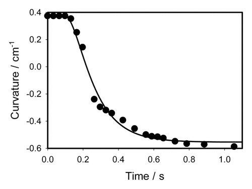 Figure 9. Time variation of a curvature during the trap closing induced by deposition of 10 μL of chloroform on the surface of a midrib inside the trap without touching the mechanosensitive hairs. Dots are experimental points; solid line was estimated from Equationequation (3)(3) CM(t)=(C1−C2) exp{τaτr[1−exp(−t−tsτa)]−(t−ts)τr}+C2(3) .