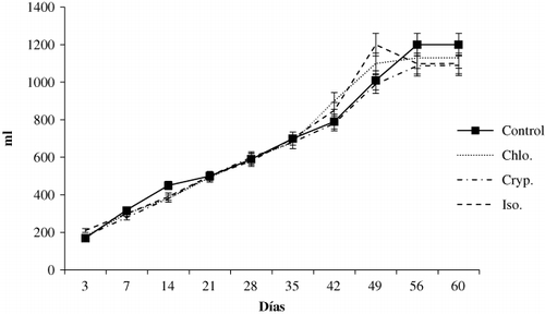 Figure 4. Lambs milk replacer (16% w/w) intake.