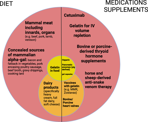 Figure 1 Foods, medications, and supplements to avoid in patients with alpha-gal syndrome. Items in the red circle should be avoided by all patients. Items in the orange and yellow circles should be avoided if patients remain symptomatic after avoidance of red circle items.