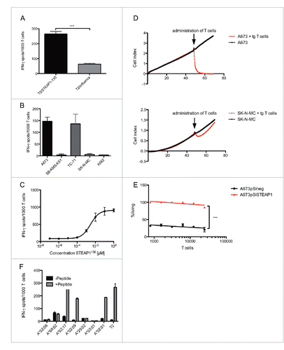 Figure 4. Antigen specificity of STEAP1130 TCR-transgenic CD8+ T cells. (A–C) IFNγ release of STEAP1P2A5 TCR-transgenic T cells during co-culture with STEAP1130- and influenza-pulsed T2 cells, respectively. (A) HLA-A*02:01+ (A673, TC71) and HLA-A*02:01− (SB-KMS-KS1, SK-N-MC, K562) tumor cells expressing STEAP1. (B) T2 cells pulsed with titrated amounts of STEAP1130 peptide. (C) All analyzed in triplicates via IFNγ ELISpot. Error bars indicate SEM. p values < 0.05 were considered as statistically significant (***p < 0.0005). (D) Target-specific tumor cell lysis of A673 and SK-N-MC (E/T: 10) by STEAP1130 TCR-transgenic T cells, detected via xCELLigence assay. (E) T cell dose-dependent lysis of A673 cells after STEAP1 knock down (A673pSiSTEAP1, see supplementary information) in comparison to control transfected A673 cells (A673pSineg), 2 h after T cell inoculation. (F) IFNγ release of STEAP1P2A5 TCR-transgenic T cells upon co-culture with STEAP1130 peptide-loaded or unloaded, respectively, LCL cell lines in the context of various HLA-A subtypes.
