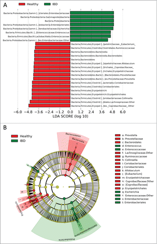 Figure 2. Linear discriminant analysis (LDA) effect size (LEfSe) of 454-pyrosequencing data sets based on 16 S rRNA gene sequences. (A) Histogram of the LDA scores computed for differentially abundant bacterial taxa between healthy control dogs and dogs with IBD (pre-treatment). (B) Taxonomic distribution of bacterial groups significant for IBD. A total of 22 differentially abundant bacterial taxa were detected (α = 0.01, LDA score > 3.0). Of those, 7 bacterial taxa were significantly overrepresented in pretreatment samples from dogs with IBD (green) and 15 bacterial taxa were overrepresented in samples from healthy control dogs (red).