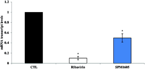 Figure 4. Effects of B. adolescentis SPM1605 cell extract on CVB3 replication. CVB3-infected-HeLa cells were treated with the cell extract of B. adolescentis SPM1605 at 9.0 log CFU/ml, and the levels of intracellular CVB3 RNA were analysed by real-time qPCR. The used concentration of ribavirin was 200 μg/ml. At least three independent assays were performed. *p < 0.05 significantly different compared with control (CTL).