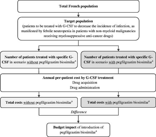 Figure 1. Simplified model framework.aNYVEPRIA.