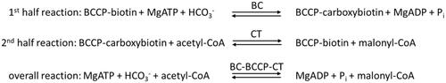 Scheme 1. Reactions catalysed by ACC.