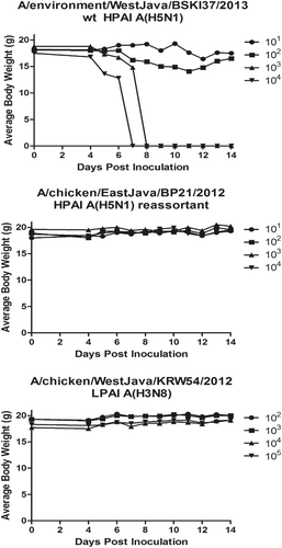 Fig. 2 Weight change for mice inoculated intranasally with (a) A/environment/WestJava/BKSI37/2013 wt HPAI A(H5N1); b A/chicken/EastJava/BP21/2012 rt HPAI A(H5N1); or c A/chicken/WestJava/KRW54/2012 LPAI A(H3N8).The weight for five mice per dilution was determined until day 14. The mean for each time point is displayed. In Fig. 2a, dosage groups with mice that lost ≥ 25% of their pre-inoculation body weight were humanely euthanized; this is indicated with an average body weight of zero at the next time point after this experimental endpoint was reached. Dosage was measured in EID50/ml