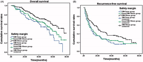 Figure 3. Overall survival and recurrence-free survival in all patients, according to safety margin (SM). (A) Cumulative OS rates in the SM < 5 mm group (n = 67), 5 mm ≤ SM <10 mm group (n = 175) and SM ≥ 10 mm group (n = 149). There was a significant difference between the three groups (χ2 = 10.899, p = 0.004, log-rank test). (B) Cumulative recurrence-free survival (RFS) rates in the three groups. There was a significant difference between the three groups (χ2 = 8.459, p = 0.015, log-rank test).