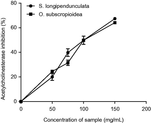 Figure 7. Acetylcholinesterase inhibition by aqueous extract of S. longipendunculata root and O. subscropioidea leaf.