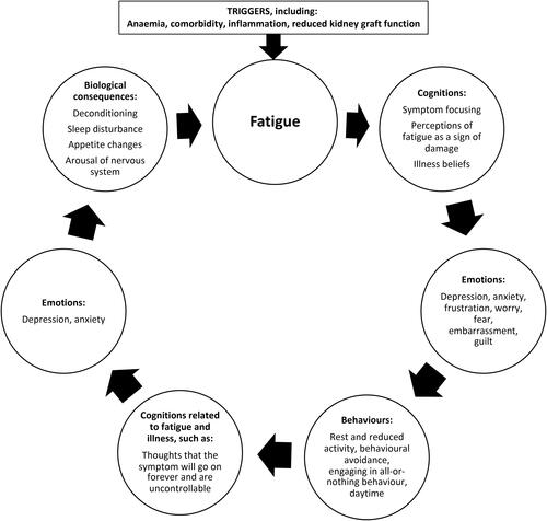 Figure 1. Cognitive-behavioral model of fatigue in kidney transplant recipients (modelled on van Kessel and Moss-MorrisCitation15).
