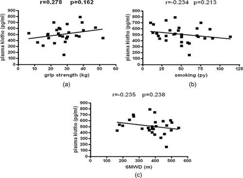 Figure 3. Plasma klotho levels of patients in relation to clinical parameters. (a) Plasma klotho concentration in relation to grip strength. (b) Plasma klotho levels in relation to smoking history. (c) Plasma klotho concentration in relation to the 6MWD.