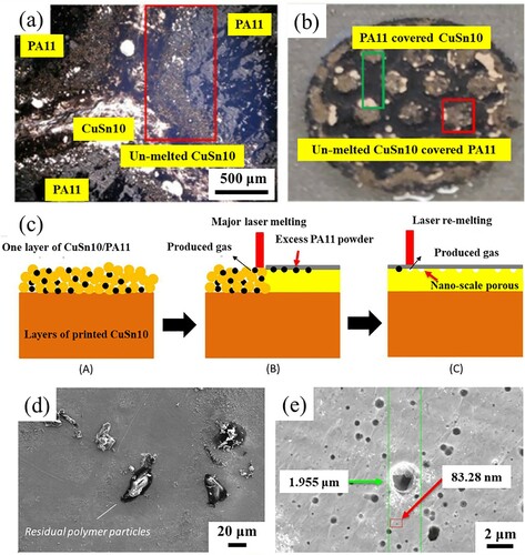 Figure 8. Interfacial defects in the LPBF-printed CuSn10/PA11 multi-material parts: (a, b) un-melted CuSn10 powder, (c) the illustration of laser melting and re-melting CuSn10/PA11 powder mixture, (d) residual polymer particles on the melted CuSn10 surface, and (e) SEM images of the surfaces of CuSn10 samples treated with laser re-melting (Chueh, Zhang et al. Citation2020).