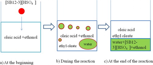 Figure 8. Different stages of esterification catalyzed by [SB12-3][HSO4].