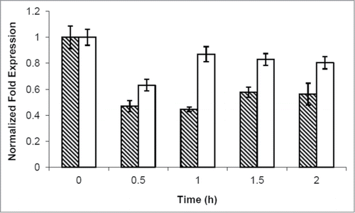 Figure 6. cAMP addition caused a CLN1 repression. Quantitative RealTime-PCR assays on CLN1 (hatched bars) and CLN2 (white bars) mRNA prepared from samples obtained during kinetic growth analysis, collected at the indicated time after cAMP addition. Graphic represents the mean values of 3 independent experiments, error bars indicate standard deviations.