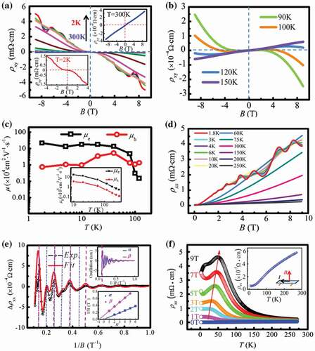 Figure 8. Temperature dependence of the Hall resistivity and resistivity for TaAs. (a) The Hall resistivity measured at various temperatures from 2 to 300 K. The lower-left and the upper-right insets show the Hall resistivity at 2 and 300 K, respectively. The obvious SdH oscillations demonstrate the high quality of the sample. (b) The Hall resistivity at T = 90, 100, 120, and 150 K. (c) Temperature dependence of the carrier mobility μe and μh of electrons and holes deduced by the two-carrier model. Main panel: Fitting with σxy; inset: fitting with σxx. (d) Magnetic field dependence of the resistivity with θ = 0° at representative temperatures. (e) Main panel: Oscillatory components of ρxx at 1.8 K, obtained by subtracting the ρxx at 20 K. The open circles are the experimental data, and the red line is the best fit based on two oscillatory frequency components. Upper inset: The two frequency components extracted from the raw oscillation patterns in the main panel. Lower inset: Landau-level index plots of 1/B versus n for different oscillation frequencies. (f) The temperature dependence of the resistivity in a magnetic field perpendicular to the electric current. The red arrow indicates that the resistivity peak moves to high temperatures under higher magnetic fields. The inset gives the measurement configuration and zooms in on the case of 0 T [Citation89].