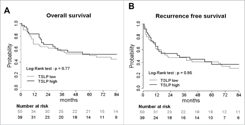 Figure 3. TSLP overexpression does not influence clinical outcome of HNSCC patients. Kaplan–Meier graph of (A) overall survival and (B) recurrence free survival according to TSLP expression by the tumors. Tumors were separated into two groups: TSLPhigh (>50% positivity) and TSLPlow (<50% positivity). Log-Rank test was calculated. p value is significant if p < 0.05.