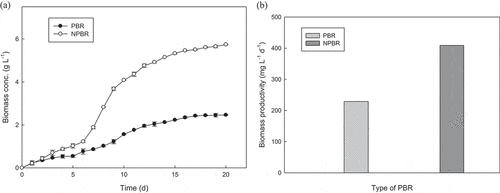 Figure 2. Biomass concentration (a) and biomass productivity (b) of Chlorella sorokiniana CY-1 cultivated in scale-up PBR and novel PBR