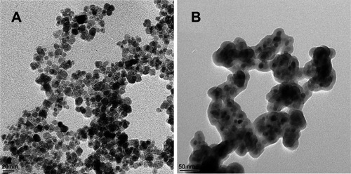 Figure 3 TEM images of (A) Fe3O4 nanoparticles and (B) Fe3O4@SiO2@PGA magnetic silica nanoparticles.