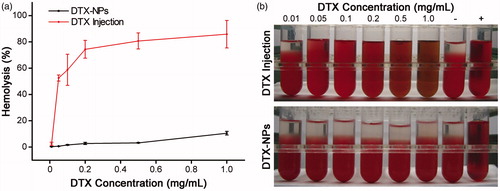 Figure 6. In vitro hemolysis of DTX-NPs. (a) The hemolysis percentage of DTX-NPs and DTX injection. Each data point is represented as mean ± SD (n = 3). (b) The hemolysis photograph of DTX-NPs and DTX injection.