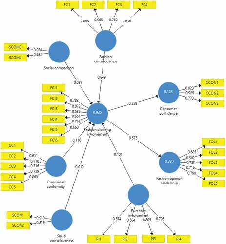 Figure 6. Measurement model of fashion clothing involvement