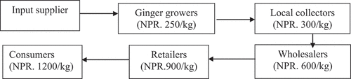 Figure 4. Local value chain (with price) of dried ginger in Palpa, Nepal.