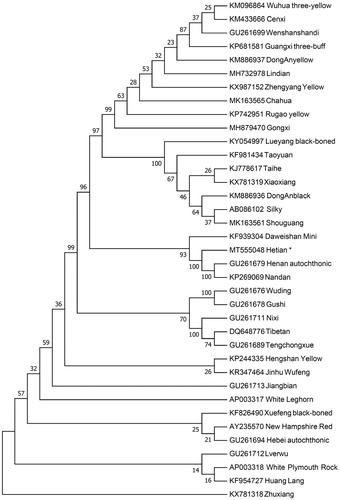 Figure 1. Neighbor-joining tree based on the complete mitochondrial DNA sequence of 37 chicken breeds. GenBank accession numbers are given before the species name.