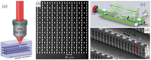 Figure 1. (a) fs-laser-writing technique and (b) fabricated photonic Lieb lattice, as an experimental platform to observe flat band compact localized states. (c) Experimental setup for site-to-site induction writing technique on photorefractive SBN crystals. (d) Scanning Electron Microscope image of a photonic Stub lattice made of engineered coupled micropillars (reproduced with permission from reference [Citation16])