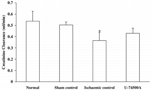Figure 4. Effect of U-74500A on creatinine clearance in rats subjected to ischemia-reperfusion. Values expressed as mean ± SEM. *p<0.05 as compared to sham control group, **p<0.05 as compared to ischemic control group. (One-way ANOVA followed by Dunnett's test).