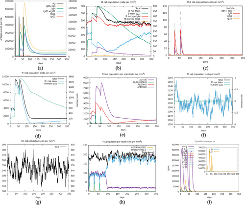 Figure 7. Immune simulation after 3 doses of vaccination.