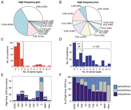 Figure 2. Sharing patterns of high-frequency somatic copy number (SCN) alterations of cytokines across cancers. (A) Pie chart showing the distribution of sharing patterns of high-frequency SCN gain of cytokines. The number outside the parentheses indicates the number of shared cancer types. The number and percentage of cytokines are indicated inside the parentheses. (B) Pie charts showing distributions of shared patterns of high-frequency SCN loss of cytokines. (C) Distribution of number of (high-frequency) amplified cytokines (x axis) and the number of shared cancer types (y axis). noCytokines (high-frequency amplified in none of the cancer types), spCytokines (shared across one or two cancer types), and coCytokines (shared in ≥ 3 cancer types) are separated by two dotted lines. (D) Distribution of the number of (high-frequency) deleted cytokines and number of shared cancer types. (E) The number of high-frequency SCN loss events in each cytokine family. Bars are colored on the basis of cytokine categories (spCytokines, noCytokines, and coCytokines) (F) The percentage of high-frequency SCN loss events in each cytokine family.